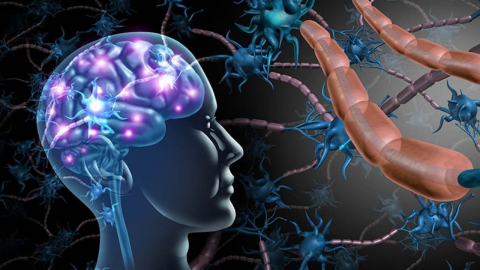 D vitamini eksikliği de MS hastalığı riskini artırıyor