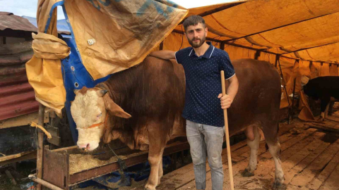 Kocaeli'de kurbanlıkların yarısı satıldı