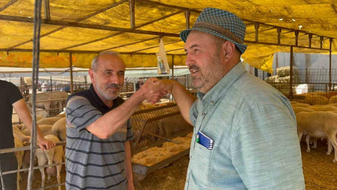Modern Hayvan Pazarı'nda kurbanlık alışverişi devam ediyor