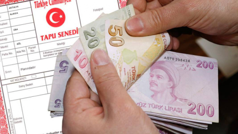 Mirasçılara Müjde! Hükümet bölünen tarlalar için harekete geçti.. Mirasçıya her ay düzenli ödeme!