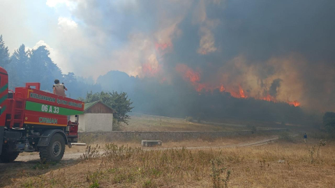 Ankara'da başlayan yangın Bolu'ya sıçradı