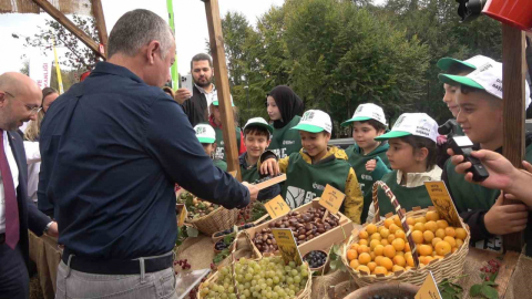Ormanya'da üretilen kızıl geyikler doğaya salındı