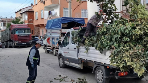 Körfez'de yeşil alanlara bakım