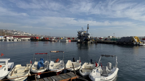Balıkçılar yeni yılda hamsi ve çinekoptan umutlu