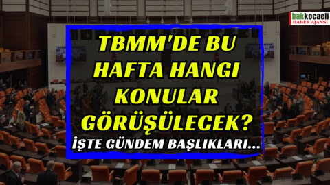 TBMM'de bu hafta hangi konular görüşülecek?