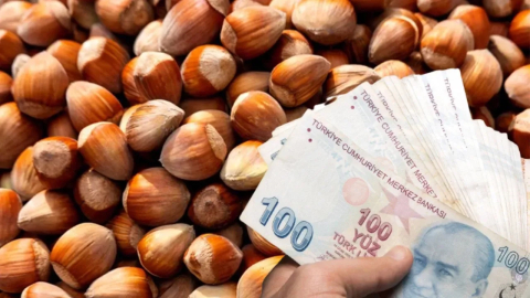 Kandıralı fındıkçıya verilecek ödemeler belli oldu!
