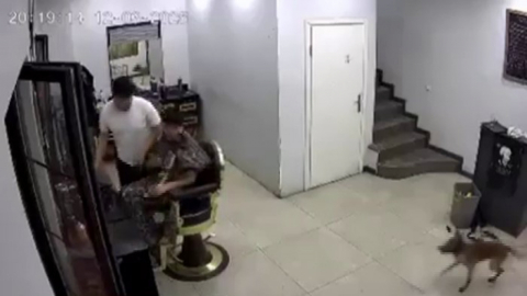 Kuaförde köpek korkusu berberi komedi sahnesine çevirdi