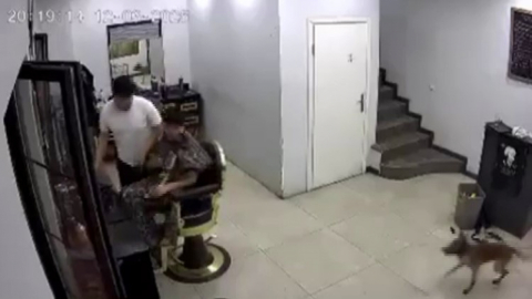 Zincirini koparan köpek kuaförde müşteriye ısırdı