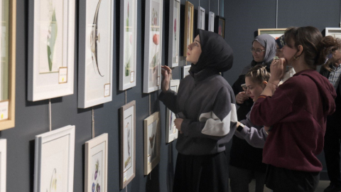 Renklerin ahenkle dans ettiği sergi