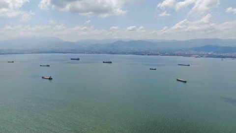 Caretta caretta rotayı şaşırdı