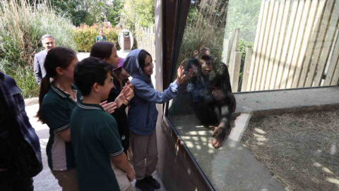 Çocuklar hayvanat bahçesini gezdi