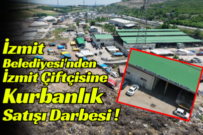 İzmit Belediyesi'nden İzmit Çiftçisine Kurbanlık Satışı Darbesi!