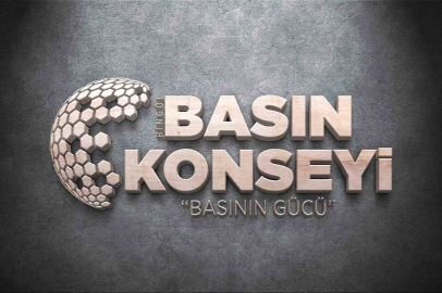 Bingöl Basın Konseyi kuruldu