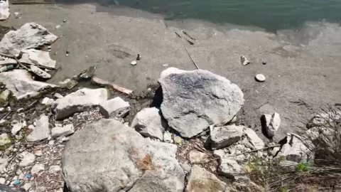 Bakırköy Botanik Parkı 14 aydır kapalı: "Bir çevre katliamıyla karşı karşıyayız"
