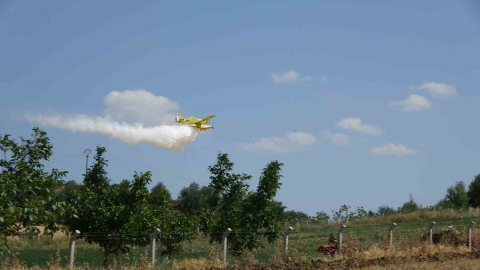 Çanakkale’de tarım arazisinde başlayan yangın ormanlık alana sıçradı
