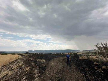 Tavuk çiftliğinde yakılan ateş tarlaya sıçradı