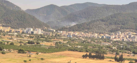 İzmir’de orman yangını: Müdahale sürüyor