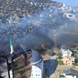 İzmir’de bir yangın da Dikili’de