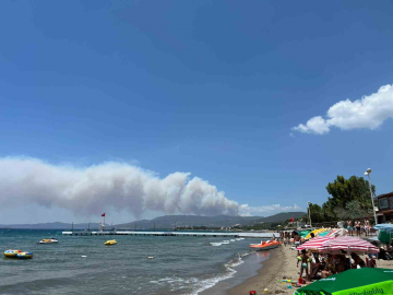 İzmir Menderes’te orman yangını