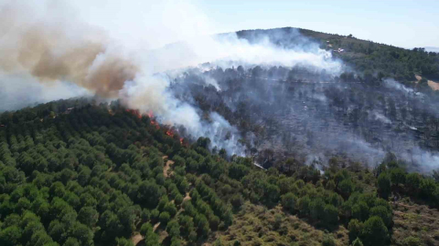 Gebze’deki orman yangını kontrol altına alındı