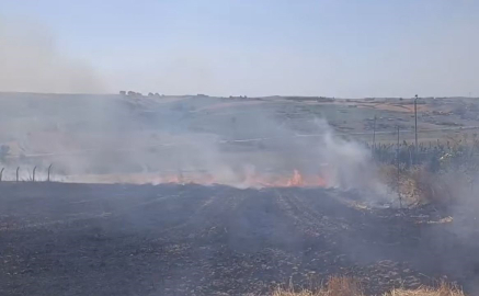 Arnavutköy’de tarla yangını