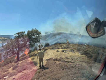 Çanakkale’de makilik alanda yangın
