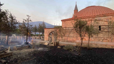 Çanakkale’deki orman yangınında tarihi mezarlar zarar gördü