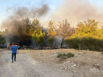 Çanakkale’de park halindeki midibüste çıkan yangın ormana sıçradı