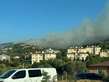 Karamürsel’de orman yangını başladı