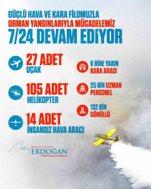Cumhurbaşkanı Erdoğan’dan orman yangınlarıyla ilgili paylaşım