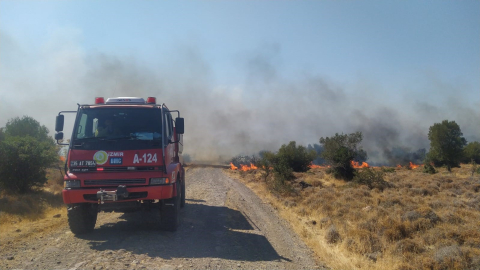 Aliağa’da otluk ve makilik alanda korkutan yangın