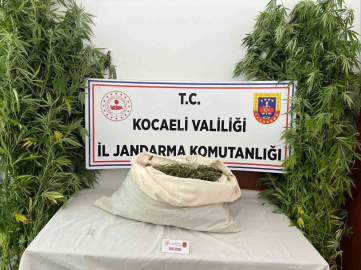 Evini uyuşturucu serasına çevirdi