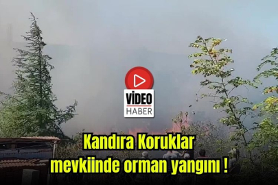 Kandıra Koruklar mevkiinde orman yangını!