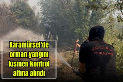 Karamürsel'de orman yangını kısmen kontrol altına alındı