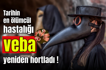 Tarihin En Ölümcül Hastalığı Veba Yeniden Ortaya Çıktı!