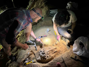 Gürcistan’da 1,8 milyon yıllık bir alt çene kemiği bulundu