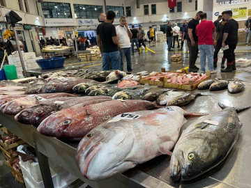 Av sezonu başladı, İzmir Balık Hali bereketle doldu