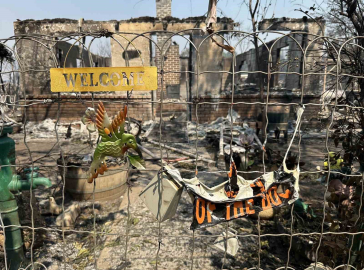 ABD’de orman yangını: 13 bin dönümlük arazi kül oldu