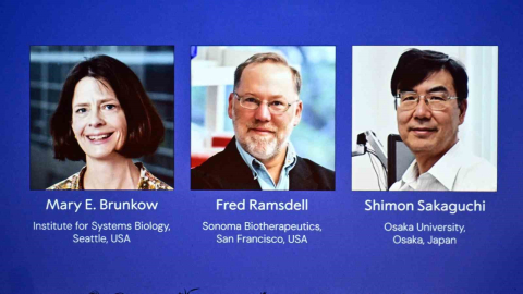 2025 Nobel Tıp Ödülü, Brunkow, Ramsdell ve Sakaguchi’nin oldu