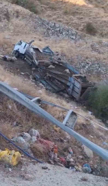 Bingöl’de hayvan taşıyan kamyon şarampole yuvarlandı: 2 yaralı, çok sayıda küçükbaş telef oldu