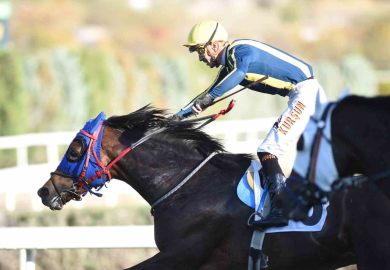 45. Cumhuriyet Koşusu ile 87. Cumhurbaşkanlığı Koşusu yapıldı