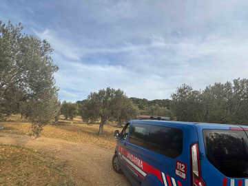 Aliağa’da zeytin hasadı başladı, güvenlik önlemleri artırıldı