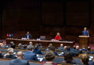 Dışişleri Bakanı Fidan, Finlandiya-Türkiye Parlamentolararası Dostluk Grubu’nun düzenlendiği toplantıda konuştu