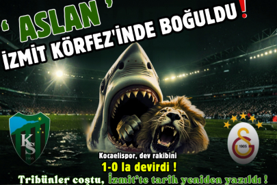 Aslan İzmit Körfez'inde Boğuldu!