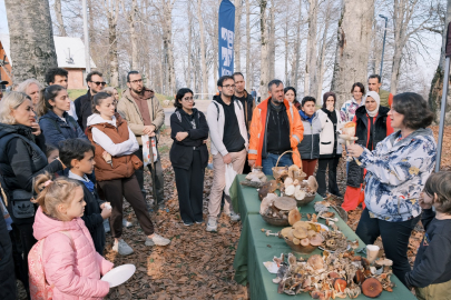 Kuzuyayla’da mantarların gizemli dünyası keşfedildi