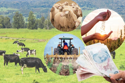 Devlet desteği el yakıyor! Ziraat Bankası kredisi üreticiyi caydırıyor