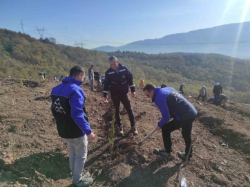 SEDAŞ, 4 ilde 500 fidanı toprakla buluşturdu