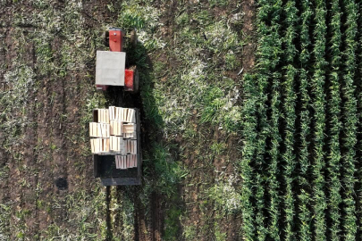 Tarım ÜFE Ekimde Yüzde 4 Arttı: Yıllık Artış 45,4’e Ulaştı