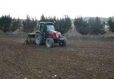 Büyükçekmece’de atıl araziler buğdayla buluştu