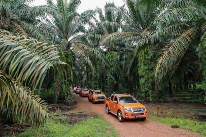 Malezya ile ABD arasında palm yağı savaşı